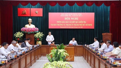Berdasarkan keputusan pemeriksaan di Jawatankuasa Tetap Jawatankuasa Parti Bandar Raya Ho Chi Minh.