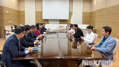 Rafforzare i legami di investimento e cooperazione tra la provincia di Ninh Binh e i partner coreani.