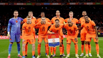 Danh sách đội hình Hà Lan dự World Cup 2026 mới nhất