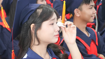 Le "stagioni della fioritura" sotto il tetto della scuola superiore Nguyen Khuyen, Dak Lak