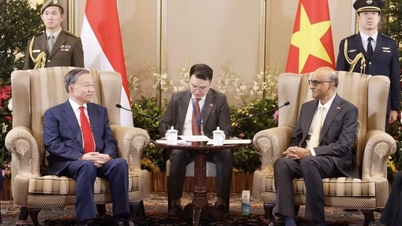 Vietnam e Singapore compiono nuovi progressi nella cooperazione economica, puntando su profondità e qualità.