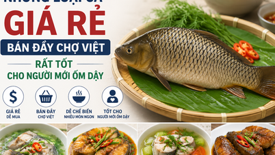 Questi pesci economici, facilmente reperibili nei mercati vietnamiti, sono molto nutrienti e benefici per le persone in convalescenza.