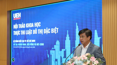 Gli esperti propongono riforme istituzionali rivoluzionarie nel settore finanziario per Ho Chi Minh City.