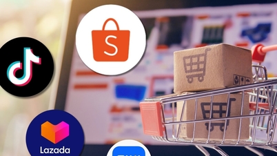Το 90% των Βιετναμέζων καταναλωτών ψωνίζουν online.