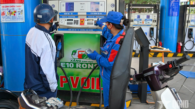 Which car models are compatible with E10 gasoline?