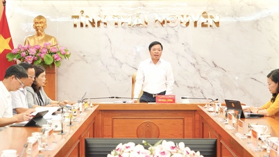 El Comité Permanente del Comité del Partido del Consejo Popular Provincial de Thai Nguyen emitió su opinión sobre muchos temas importantes.