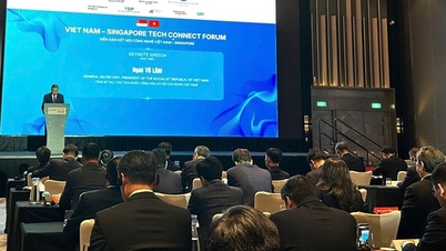 انجمن ارتباط فناوری ویتنام و سنگاپور