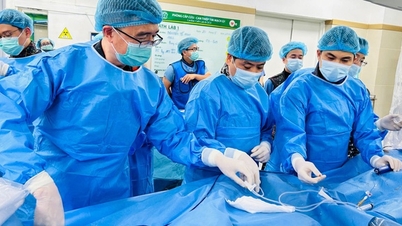 Een doorbraak in de ablatie van atriumfibrillatie met behulp van gepulseerde energie in het Vietnam National Heart Institute.