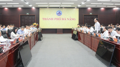 ທ່ານລັດຖະມົນຕີກະຊວງສຶກສາທິການ ແລະ ບຳລຸງສ້າງ ໄດ້ເຮັດວຽກຮ່ວມກັບຄະນະກຳມະການປະຊາຊົນນະຄອນດານັງ ກ່ຽວກັບວຽກງານສຳຄັນຕ່າງໆໃນຂົງເຂດການສຶກສາ.