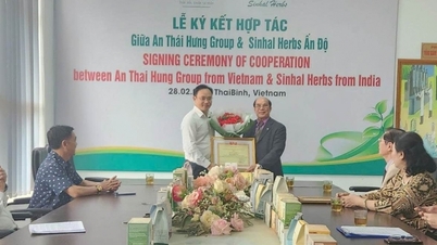 An Thai Hung: Valorizzare la medicina erboristica vietnamita attraverso la gentilezza e la scienza.