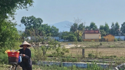 Da Nang pubblica nuove tariffe di indennizzo.