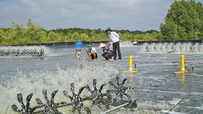 L'Accademia vietnamita delle scienze della pesca deve concentrarsi su tre compiti chiave.