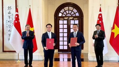 Ein führendes Unternehmen aus Ho-Chi-Minh-Stadt und sein singapurischer Partner gründen ein fortschrittliches Forschungs- und Produktionszentrum.