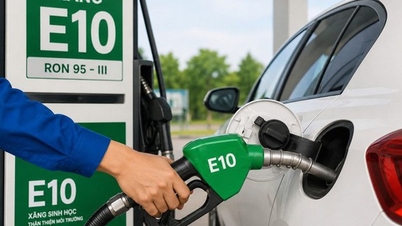 Wer haftet, wenn ein Fahrzeug durch die Verwendung von E10 beschädigt wird?