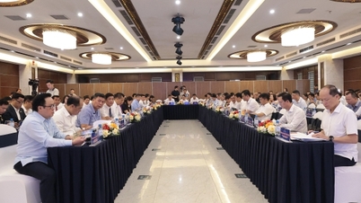 Ha Tinh: Government and businesses jointly create policies.