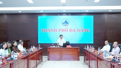 Da Nang implementerer omorganisering og konsolidering av landsbyer og boligområder.
