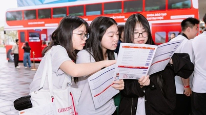 Quando l'IELTS e il diploma di scuola superiore non bastano: la "chiave" per aiutare gli studenti vietnamiti ad accedere alle università internazionali.