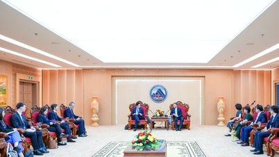 Da Nang promuje współpracę z Francją w celu stworzenia międzynarodowego centrum finansowego.