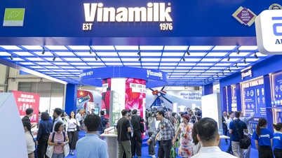 Seri Pameran Industri Susu, Es Krim, dan Teh Boba Internasional kini hadir di Vietnam.