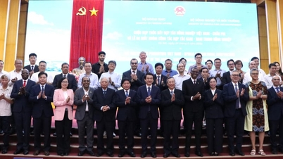 Vietnam kész megosztani mezőgazdasági termelési tapasztalatait az afrikai országokkal.