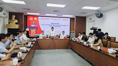 Hai Phong: Fornire informazioni su alcune questioni e argomenti di interesse per la stampa e il pubblico.