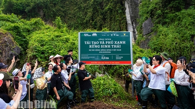 Ouverture du Centre mobile de la nature et lancement du « Forestival » – programme de reboisement des forêts du Vietnam.