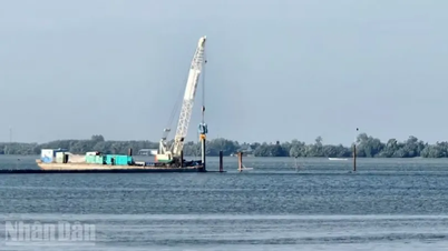 Terminate the contract with a contractor constructing the An Bien-Rach Gia sea bridge.