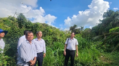 Vinh Long ist fest entschlossen, das Vogelschutzgebiet eines 80-jährigen Bauern zu schützen.