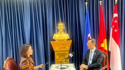 Shangri-la Dialogue: Vietnam is a key player in regional and global affairs.