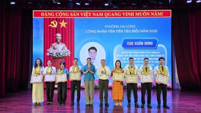 Il distretto di Ha Long si congratula con i lavoratori e i dipendenti più meritevoli.