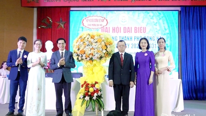 La dottoressa Huynh Tu Anh, M.Sc., è stata rieletta presidente dell'Associazione infermieristica della città di Dong Nai.