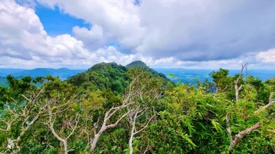 Kon Ka Kinh, un "tesoro verde", diventa ufficialmente una meta turistica.