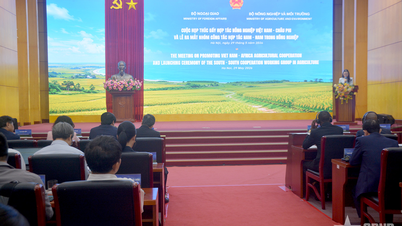 Promuovere la cooperazione agricola tra il Vietnam e l'Africa.