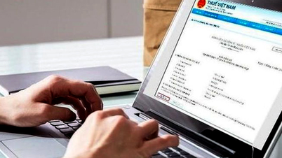 خطة العمل الوطنية بشأن تبادل المعلومات عند الطلب لأغراض ضريبية