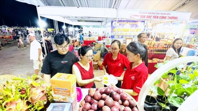 Nafoods reafirma el valor de la agricultura sostenible en la Feria OCOP de Nghe An 2026.