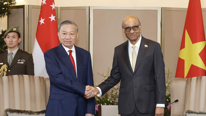 Vietnam has always given high priority to its relationship with Singapore.