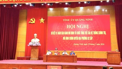 ກວາງນິງ: ລະບົບລັດຖະບານສອງຊັ້ນດຳເນີນງານຢ່າງລາບລື່ນ ແລະ ມີປະສິດທິຜົນຫຼັງຈາກດຳເນີນງານເປັນເວລາໜຶ່ງປີ.