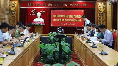 Le Comité central d'organisation collabore avec le Comité d'organisation du Parti provincial sur les questions de personnel et de sécurité politique intérieure. – Cao Bang Online Newspaper