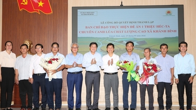 Per la prima volta nel delta del Mekong: istituzione di un comitato direttivo a livello comunale per guidare la filiera del riso.