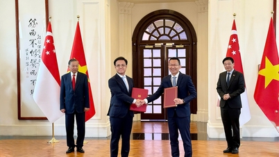 Istituire un centro di ricerca e produzione con un partner singaporiano nell'area urbana scientifica e tecnologica del nord di Ho Chi Minh City.