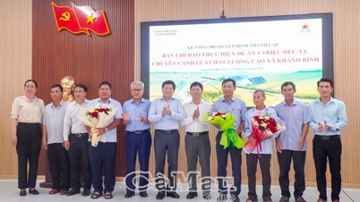 Khanh Binh sta attuando un progetto per la coltivazione di 1 milione di ettari di riso di alta qualità.