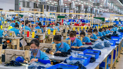 Le esportazioni di Nghe An si trovano di fronte a nuove opportunità e sfide globali.