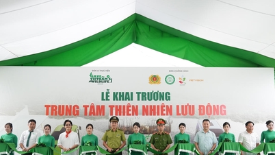 Ninh Binh merasmikan pusat alam semula jadi bergerak di rizab tanah lembap Van Long.
