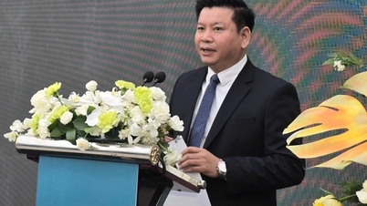 Privatdozent Dr. Dinh Van Chau behält weiterhin das Amt des Rektors der Universität für Elektrotechnik.