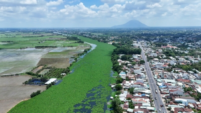 Indagine sullo stato attuale del fiume Vam Co Dong, con proposte di soluzioni per la tutela ambientale e lo sviluppo del trasporto fluviale.