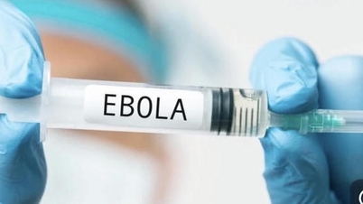 Il Ministero della Salute valuta come basso il rischio che l'Ebola entri in Vietnam al momento.