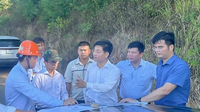 Le vice-président du Comité populaire provincial, Do Tam Hien, inspecte la zone de réinstallation desservant les projets de la zone économique de Dung Quat.