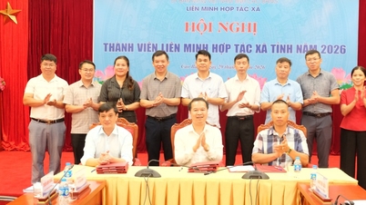 Conférence des membres de l'Union des coopératives provinciales 2026 - Journal en ligne Cao Bang