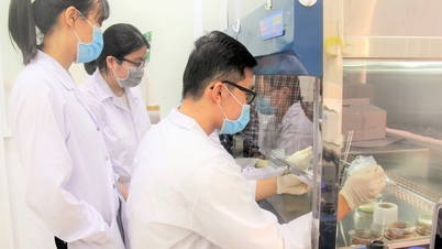 Ho-Chi-Minh-Stadt wird die Ausbildung von Fachkräften für die Hightech-Wirtschaft in Auftrag geben.