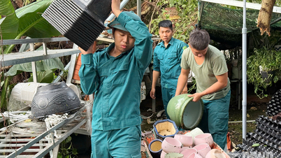 El Comando Militar de la comuna de Tan Hoi, provincia de Tay Ninh, ayuda a la población a superar las consecuencias de las tormentas y los tornados.